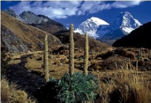 Parque Nacional Huascarán