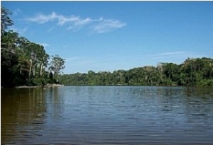 Parque Nacional del Manu