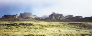 Yayno: Cima del Mundo