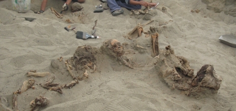 Importante Hallazgo de restos óseos de la cultura Chimú en Huanchaco, La Libertad, Perú