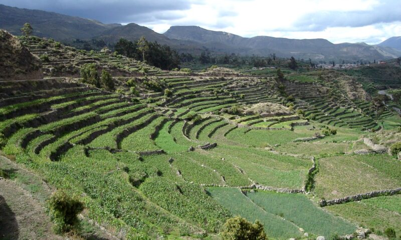 Buscan recuperar y rehabilitar andenes en once regiones del Perú