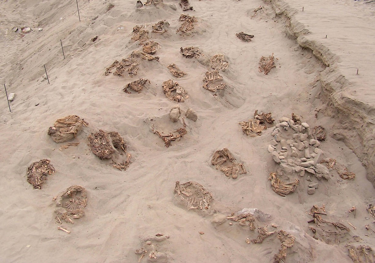 chimu sacrificio 1