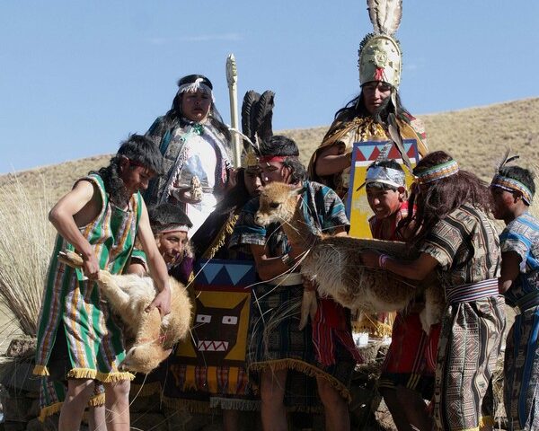 Chaccu de Vicuñas, Reserva Nacional Pampa Galeras