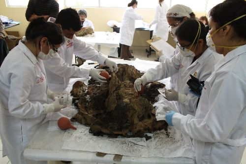 Misterios de la cultura Chancay empiezan a mostrarse al mundo con primer desenfardado de entierros en sitio arqueológico Pisquillo