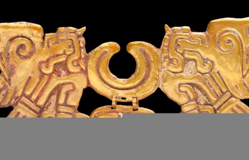 francia venta ilegal accesorio chavin
