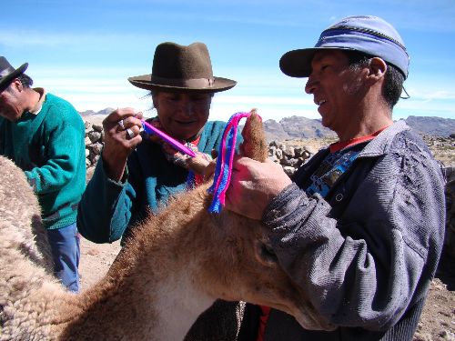 Organizan ciclo de documentales sobre el Camino Inca