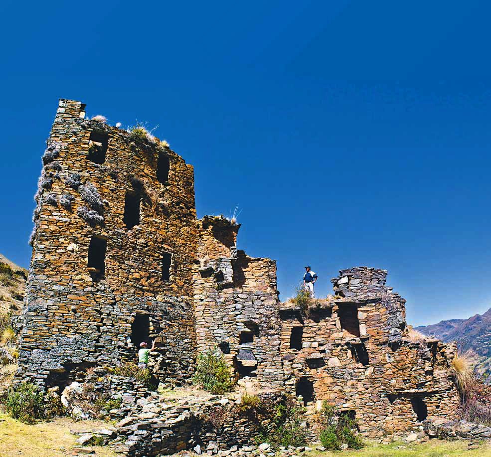 rapayan