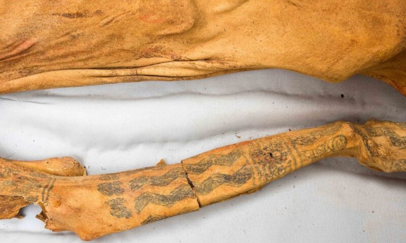 Estudio Microquímico Mediante Meb-Eds (Análisis De Energía Dispersiva Por Rayos) Del Pigmento Utilizado En El Tatuaje De La Señora De Cao
