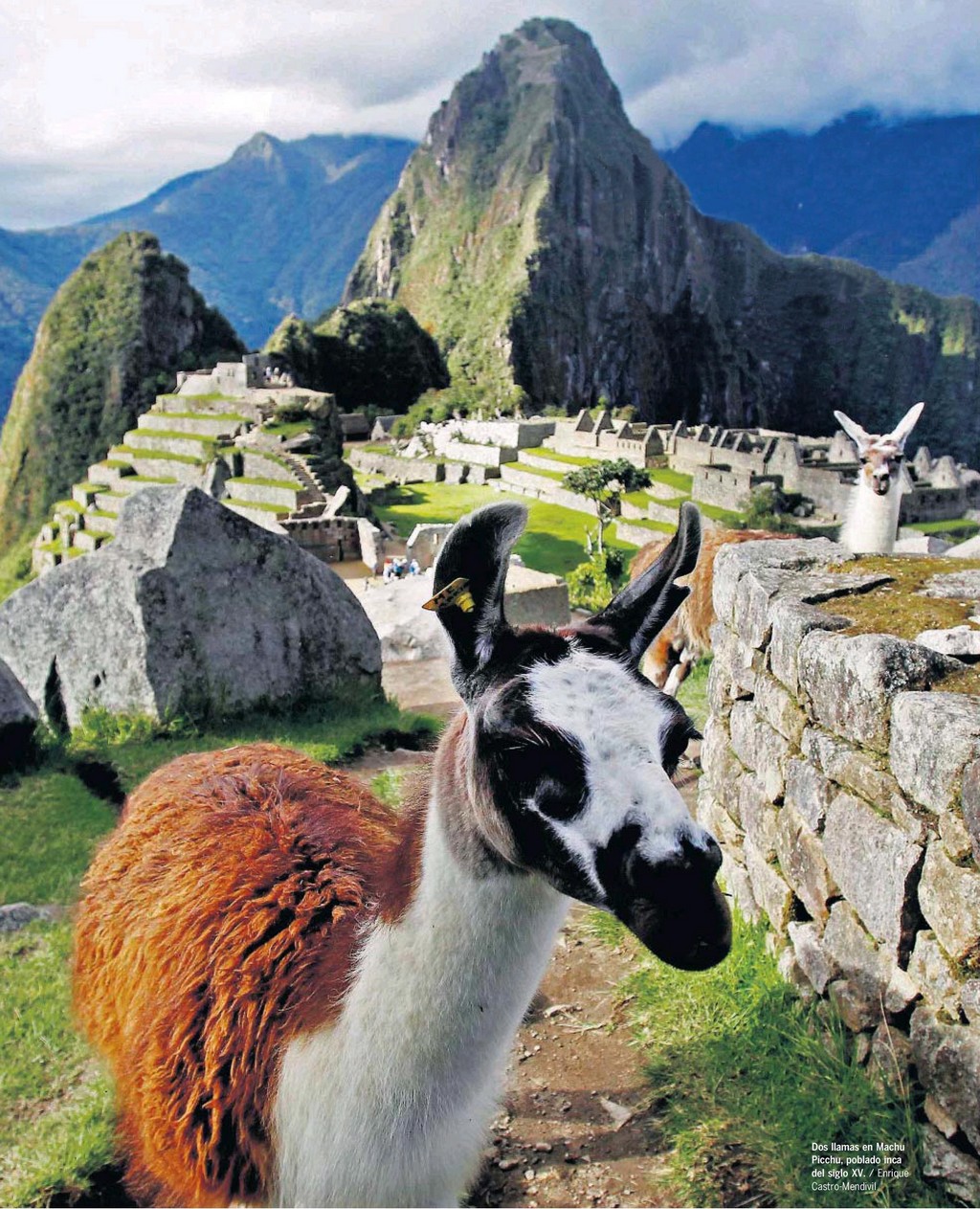 peru1a