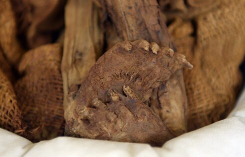 Discover mummified pre inca baby Puruchuco Huaquerone 10