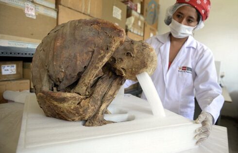 Discover mummified pre inca baby Puruchuco Huaquerone 31