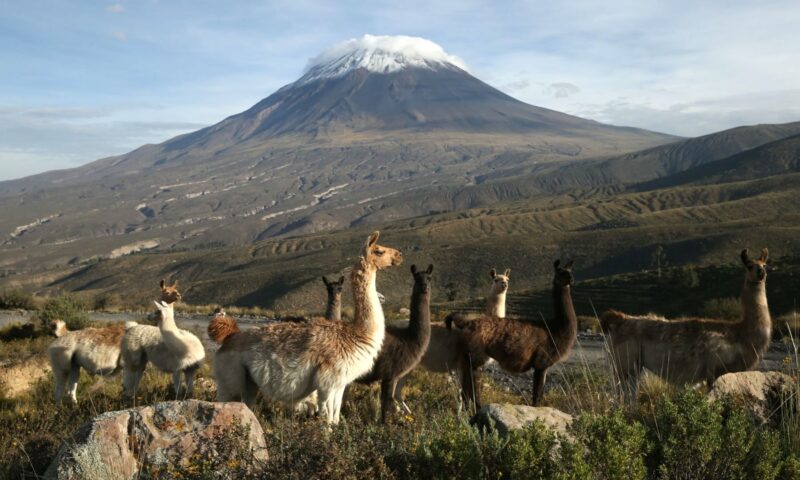 Google to put Peruvian natural areas beauty on display