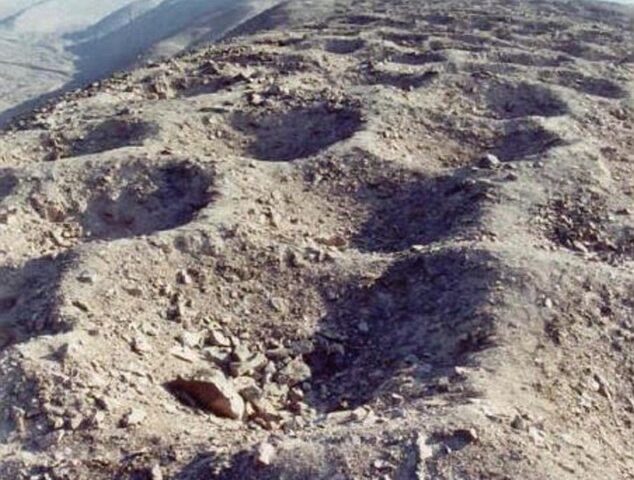 Did the Inca use a mysterious line of holes to collect TAX? Ancient empire may have used 6,000 pits to store and count tributes