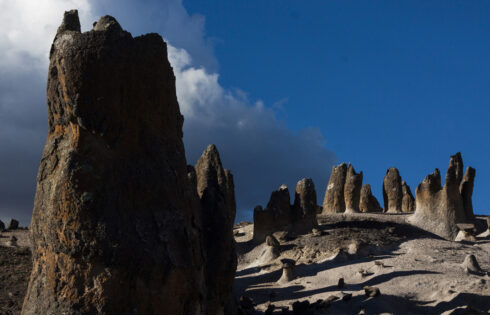 pampachari bosque piedras apurimac 3