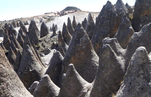 pampachari bosque piedras apurimac 6