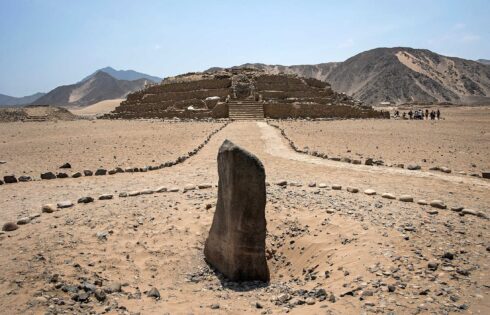 caral frontis