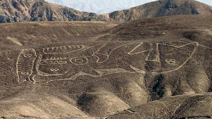 La Orca: nuevo geoglifo de las misteriosas líneas de Nasca