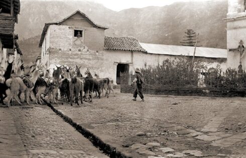 machu picchu 1991 hallazgo 007