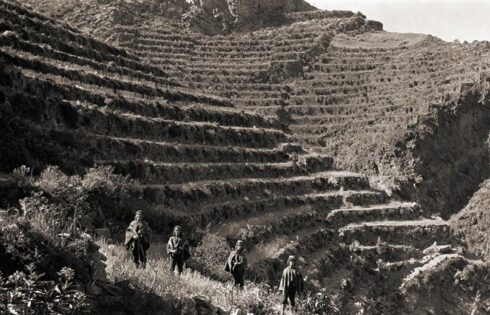 machu picchu 1991 hallazgo 013 1