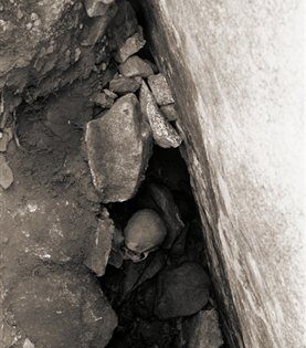 machu picchu 1991 hallazgo 017