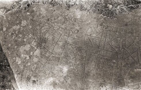 machu picchu 1991 hallazgo 033