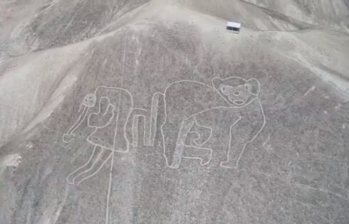 caral palpa descubre marzo 2018 20