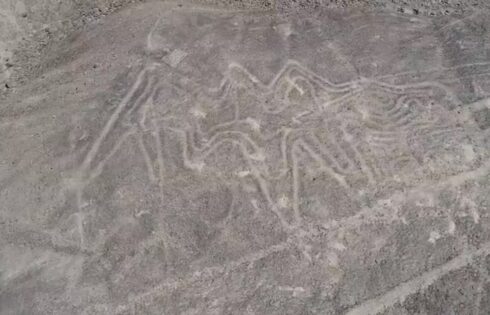 caral palpa descubre marzo 2018 25