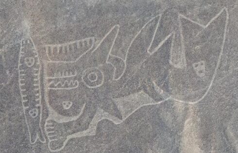 palpa nazca 2018 12 figura ballena