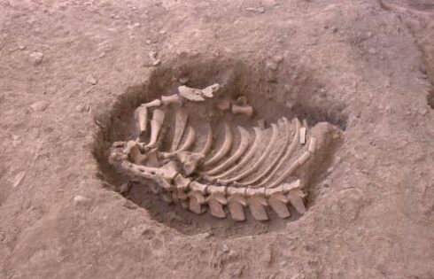 restos 3000 anos cusco descubren 3