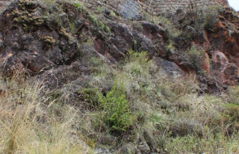 pisac torreones trekking 20