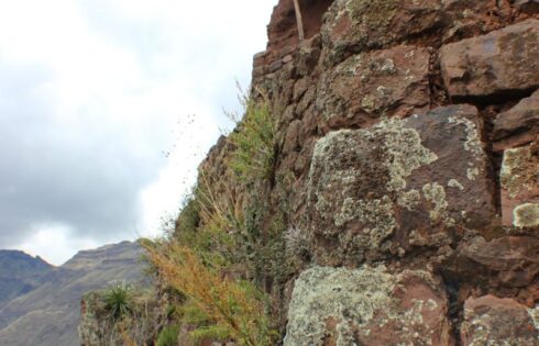 pisac torreones trekking 40