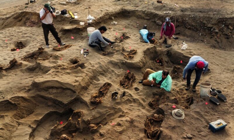 Album: Descubren en Perú el más grande sacrificio masivo de niños de América