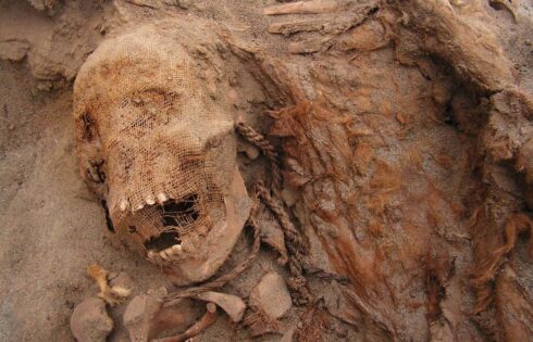 hallazgo huanchaco sacrificio ninos enero 2019 20