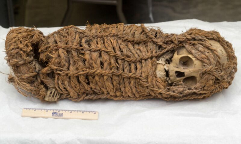Retorna al Perú momia de origen aimara recuperada en EE. UU.