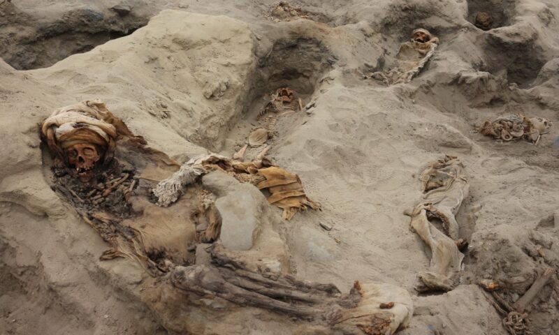 Cultura Chimú en Huanchaco: Hallan 250 niños y 40 guerreros sacrificados