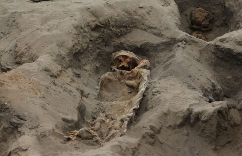 huanchaco hallazgo sacrificios 5