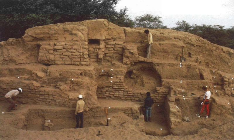 El Proyecto Arqueologico SICÁN: Una caracterización