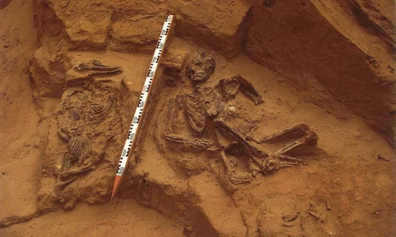 La Tumba de la Huaca Las Ventanas – Cultura Sicán