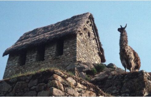 Machu Picchu