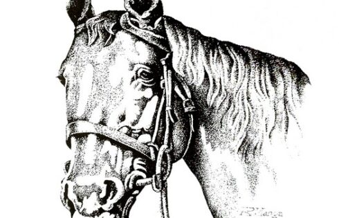 Rodolfo Manga Alosilla