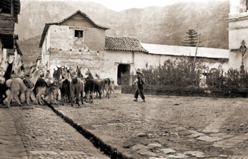 Foto: Hiram Bingham. Ganado local. Las llamas llevan siglos domesticadas, y no las hay en estado salvaje. La lana de alpaca es una de las exportaciones más selectas de Perú. Las llamas acarrean sal gema. La característica alcantarilla descubierta que recorre el centro de la calle existe en muchas villas montañesas.