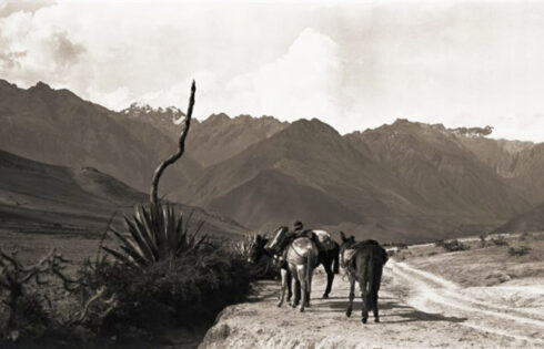 Foto: Hiram Bingham. Vista del valle del Urubamba desde Chincheros. Apenas hay vallas de alambre en este país, donde son sustituidas por plantas espinosas tales como cactos, cambrones y ágaves o pitas.