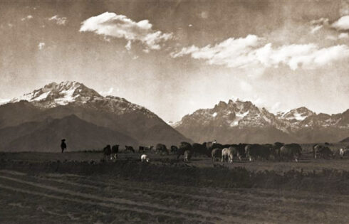Foto: Hiram Bingham. Pastorcillo de Chincheros con sus ovejas. Los muchachos quechuas aprenden pronto sus deberes de pastoreo y pasan buena parte de los años que deberían dedicar a la escuela apacentando los rebaños de sus padres.