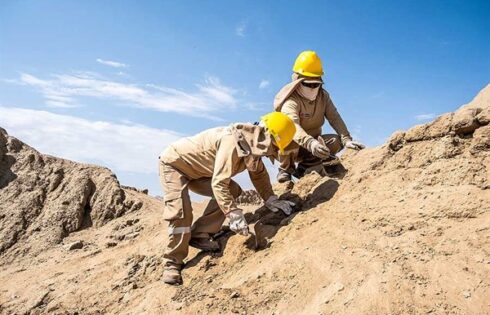chan chan 2026 2 chan chan 2026 2